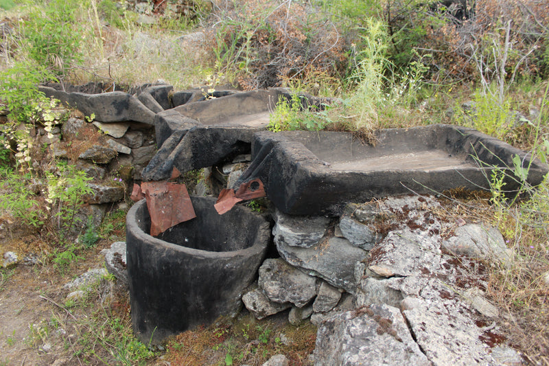 ZEYTİNYAĞI OKURYAZARLIĞI